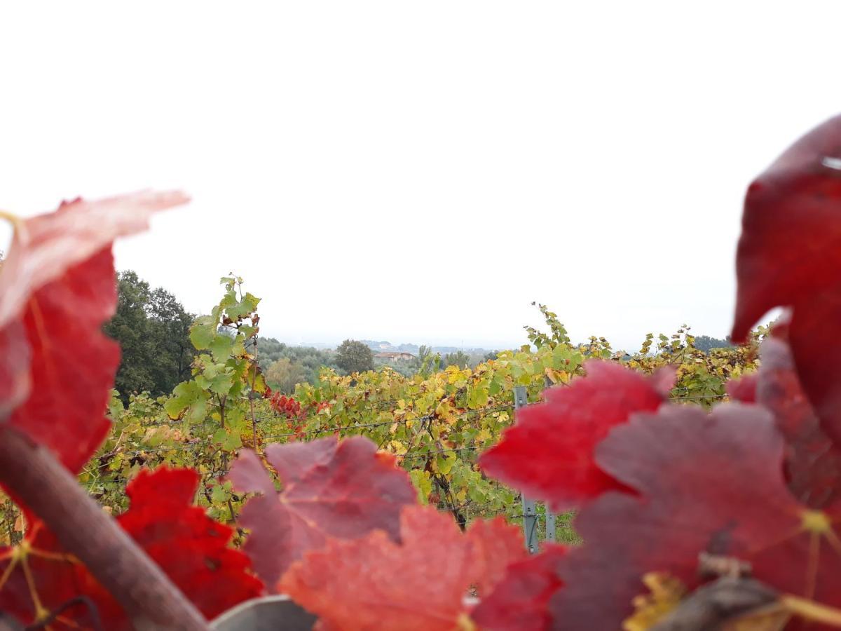 La Torre Wine Resort Монтекарло Экстерьер фото