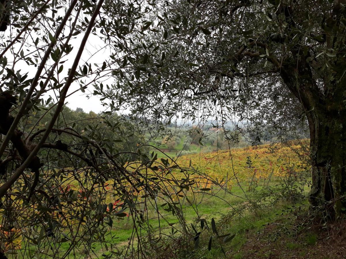 La Torre Wine Resort Монтекарло Экстерьер фото