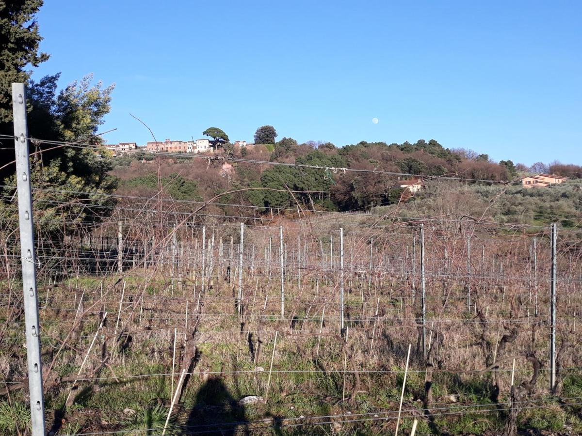 La Torre Wine Resort Монтекарло Экстерьер фото