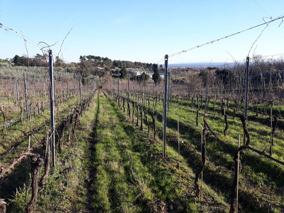 La Torre Wine Resort Монтекарло Экстерьер фото
